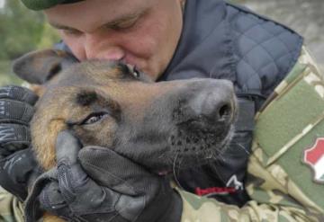 De ser maltratado a miembro del ejército; en Hungría, perrito encuentra nueva vida