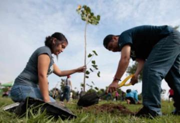 Querétaro será reforestado con un millón de árboles para este 2022