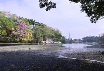 Proyecto de vialidad sí impactará a la Laguna de las Ilusiones