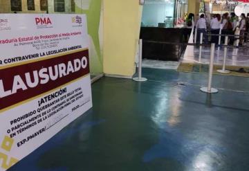 Gobernador de Veracruz difunde fotos de fiesta y manatí muerto en el acuario