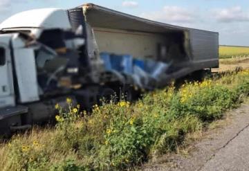 Choca tráiler con toneladas de perros y gatos muertos; salió de Querétaro rumbo a Texas