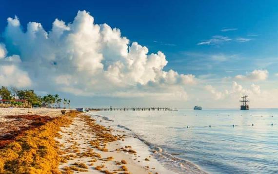 Alertan por sargazo excesivo en 50 playas del Caribe mexicano