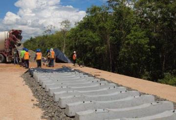 Semarnat abrió a consulta pública el proyecto del Tramo 5 Sur del Tren Maya