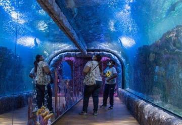 Acuario de Veracruz reabre sus puertas y cambia de nombre a ‘Aquarium’ luego de haber sido clausurado