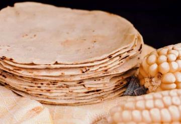 ¿Es malo comer tortilla? Todo lo que debes saber sobre este alimento