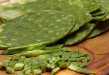 Estos son los beneficios médicos de comer nopales, de acuerdo con la UNAM