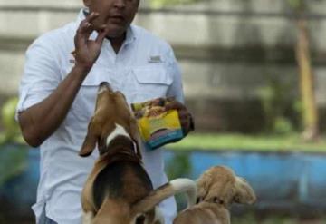 Aperturan escuela para perros antisociales