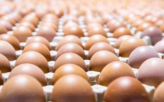 Influenza aviar causa escasez de huevo, ¡aumenta reja hasta 140 pesos!
