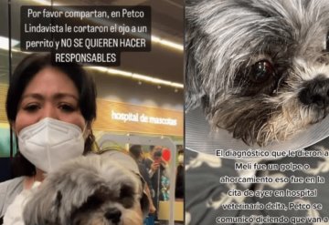 Exigen a Petco responder ante maltrato animal