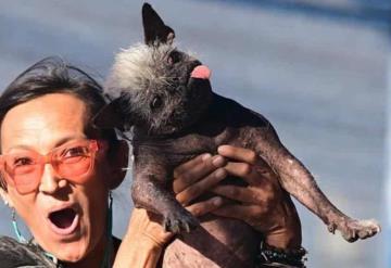 Conoce al Sr. Rostro Feliz, el perrito más feo del mundo según concurso de California