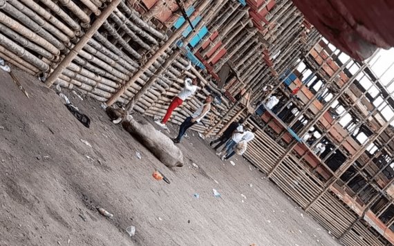 Toro de plaza desplomada en Colombia, murió acuchillado y golpeado, revela senadora