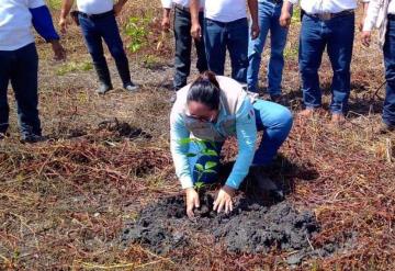 Se plantarán 9 millones de árboles durante Tercera Jornada Nacional de Siembra en 4 municipios de la región