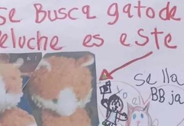 Un dulce y 20 pesos: Niña ofreció recompensa para encontrar a su peluche