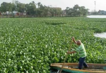 Corren riesgo especies del emblemático lago El Popalillo en Balancán