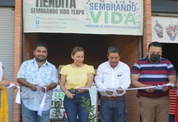 Inauguran “Tiendita Sembrando Vida” en Teapa