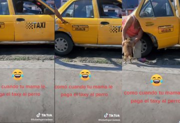 Mujer paga taxi para que su perrito llegue bien a casa