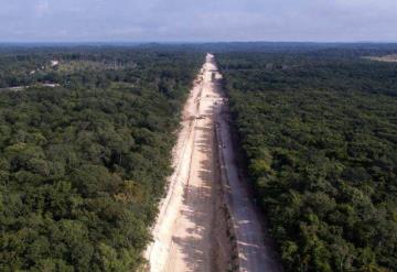 Ya no hay nada que impida continuar con construcción del Tren Maya: Fonatur