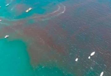 Detectan "marea roja" frente a las costas de Yucatán