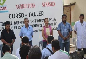 Capacitan a tablajeros de Teapa contra enfermedades rojas de cerdo