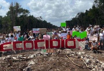 Greenpeace reforzará la batalla legal para frenar obras del Tren Maya