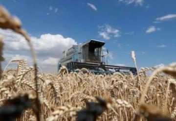 Rusia y Ucrania firman acuerdo para desbloquear el comercio de cereales