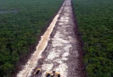 Fonatur: Obras en tramo 5 del Tren Maya siguen detenidas; se han respetado amparos