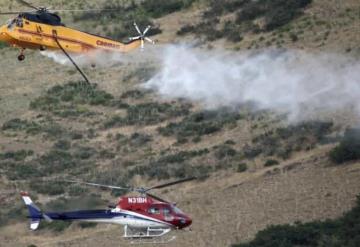 Hombre intenta quemar una araña y provoca incendio