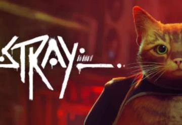 El exitoso videojuego Stray está ayudando a gatos sin hogar