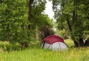 3 bosques cerca de la CDMX para acampar