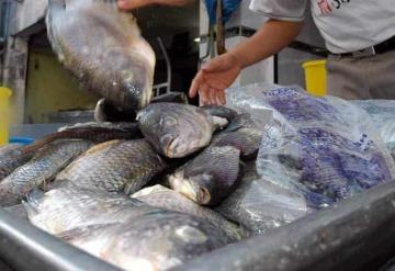 Canadá ofrece a mexicanos trabajo de 60 mil pesos a quien sepa lavar pescado