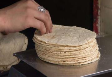 ¡Que no te engañen! Así puedes identificar las tortillas piratas