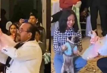 Video: Se vuelve viral festejo de XV años a perrita chihuahua