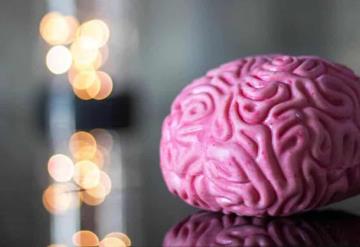 Estimular el cerebro con corrientes eléctricas en sesiones de 20 minutos por cuatro días, mejora la memoria de adultos mayores: estudio