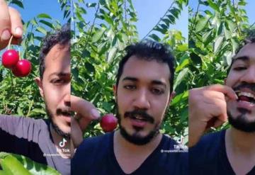 Mexicano presume sueldo de 3 mil 500 pesos diarios trabajando en Canadá recolectando cerezas