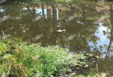 Identifican a hombre ahogado en Paraíso