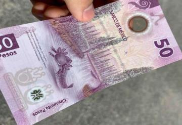 Billete de 50 pesos del ajolote es el más bonito del mundo según la IBNS