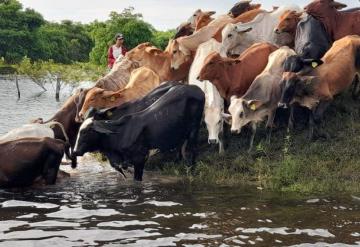 Productores del ejido Bajo Amatitan piden autoridades del municipio y el estado declarar estado de emergencia en Jonuta por creciente