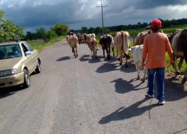 Decenas de ciudadano toman alternativas para evitar trafico de Ruiz Cortines