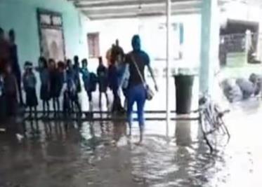 Lagartos ponen en peligro a familias, Salen debido a las lluvias que inundan cuerpos de aguas