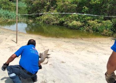 Aparecen restos humanos en Playa Gaviota Azul de Cancún