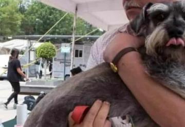 Invitan a participar en campaña  de vacunación antirrábica Canina y Felina en Jonuta