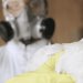 Toneladas de pollo en riesgo por influenza en Puebla