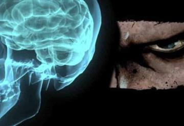 ¿Cómo afecta la violencia al cerebro?