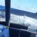 Video: Impactante momento en que un gran tiburón blanco salta sobre un barco de pesca