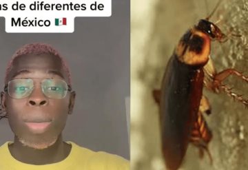 Francés explica en TikTok las cosas raras de México: "Las balaceras...¿Qué onda?