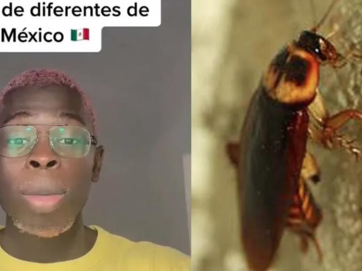 Las cucarachas vuelan”: Francés se asombra con las cosas raras de México 