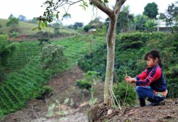 Participación ciudadana medioambiental 