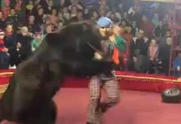 ¡Aterrador! Oso ataca brutalmente a su entrenador en pleno show de circo