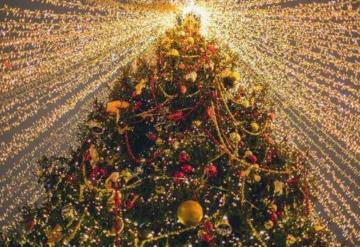 Esta es la historia de cómo una tradición pagana dio origen al árbol de Navidad