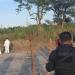 hallan fosa con restos humanos sobre la carretera Villahermosa –Cárdenas